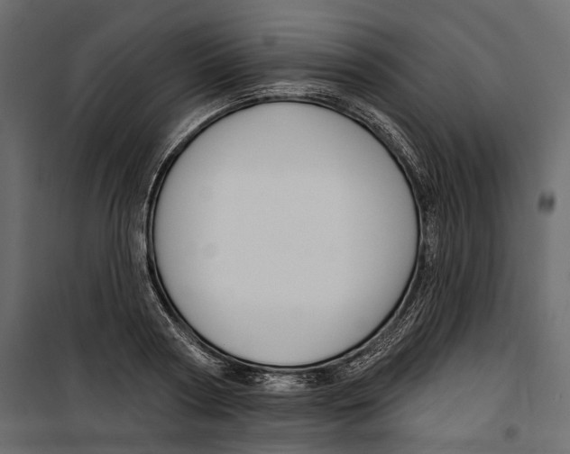 X0000099950794200806201311