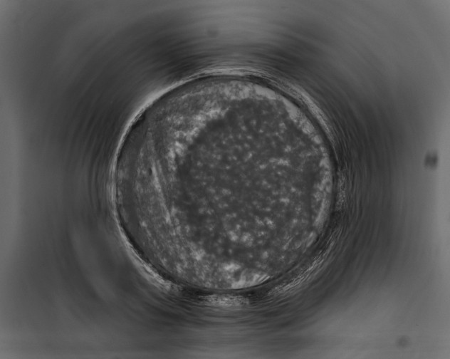 X0000099950795200806201311