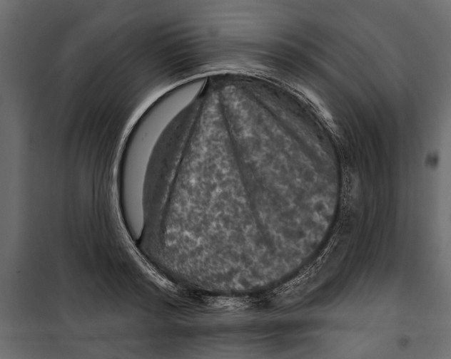 X0000099950796200806201311