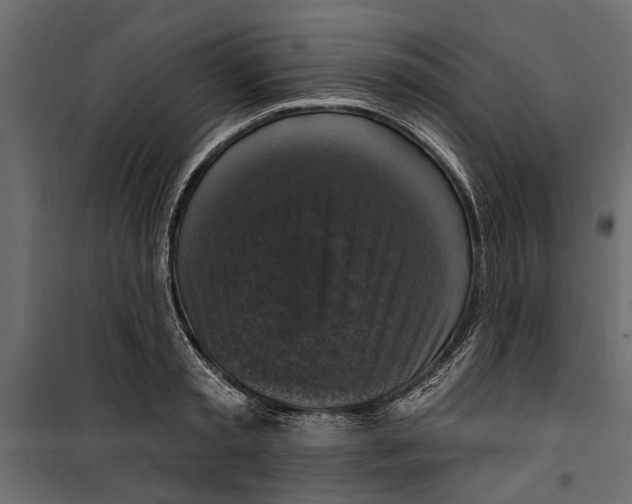 X0000099950797200806201311
