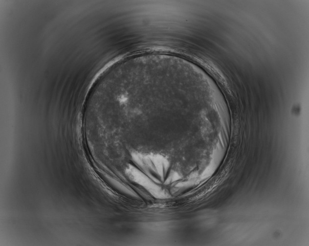 X0000099950798200806201311