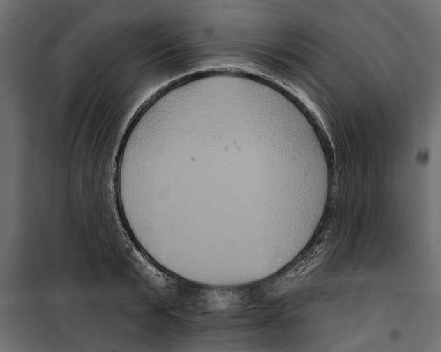 X0000099950799200806201311