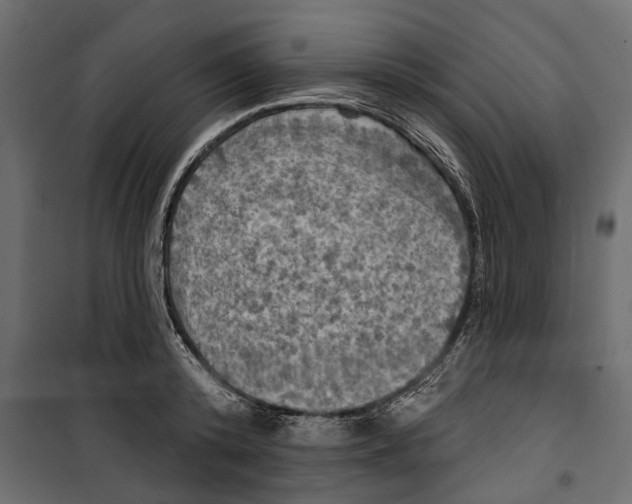 X0000099950800200806201311