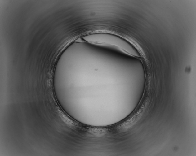 X0000099950801200806201311