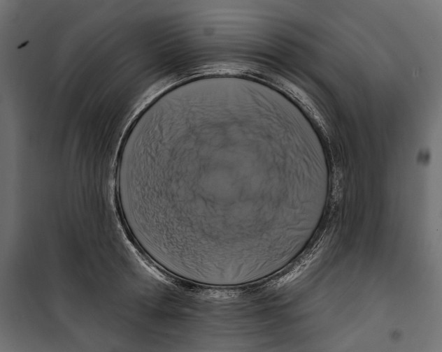 X0000099950802200806201311