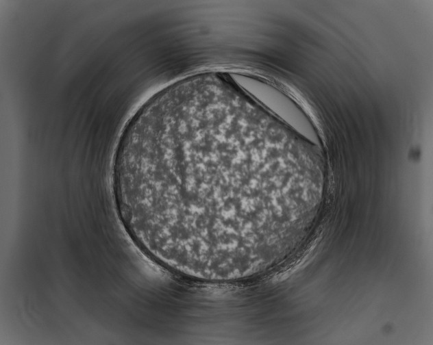 X0000099950803200806201311