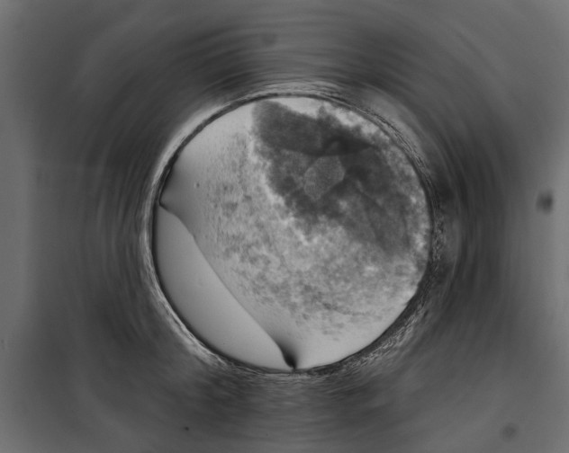 X0000099950804200806201311