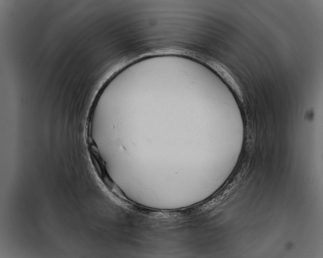 X0000099950805200806201311