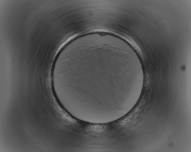 X0000099950806200806201311