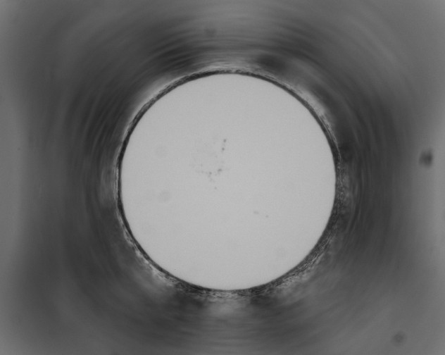X0000099950807200806201311