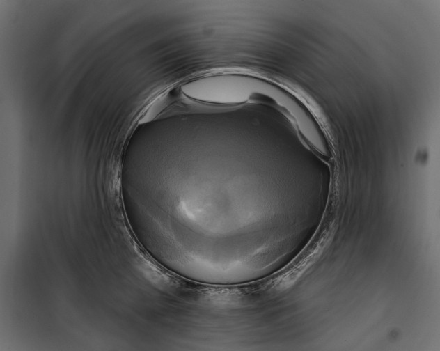 X0000099950809200806201311