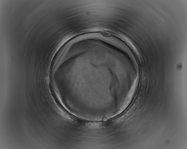 X0000099950810200806201311