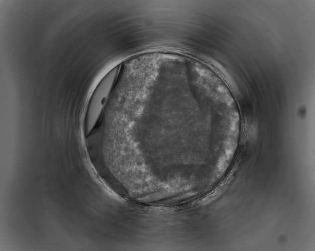 X0000099950812200806201311