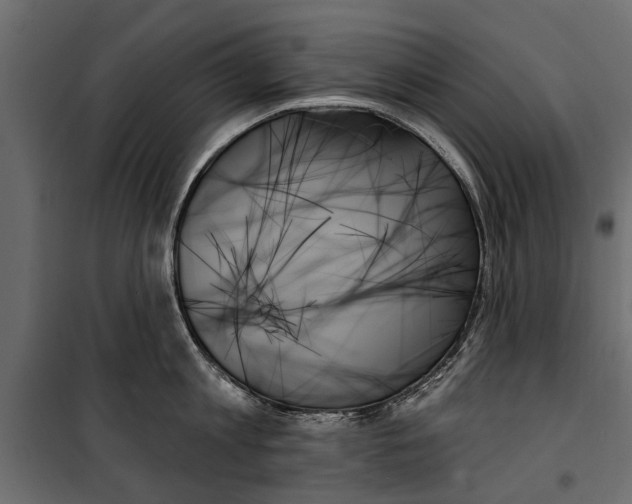 X0000099950813200806201311