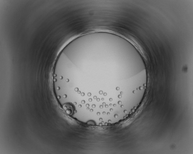 X0000099950814200806201311