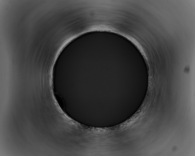 X0000099950815200806201311