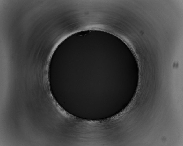 X0000099950816200806201311
