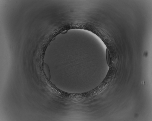 X0000099950817200806201310