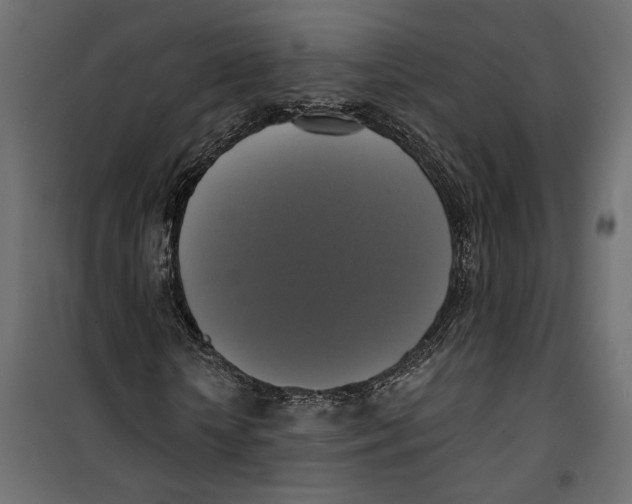 X0000099950818200806201310