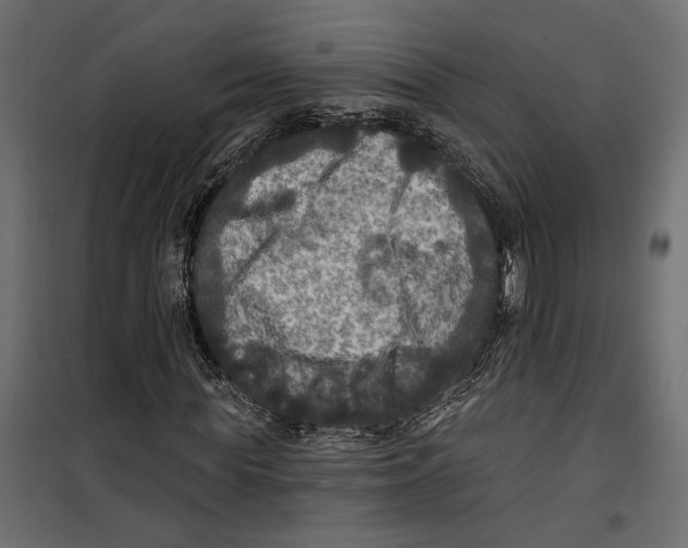 X0000099950819200806201310