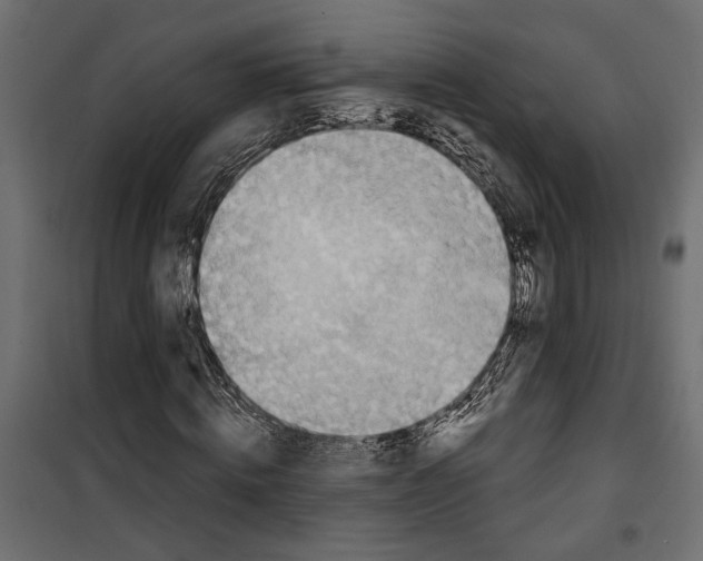 X0000099950820200806201310
