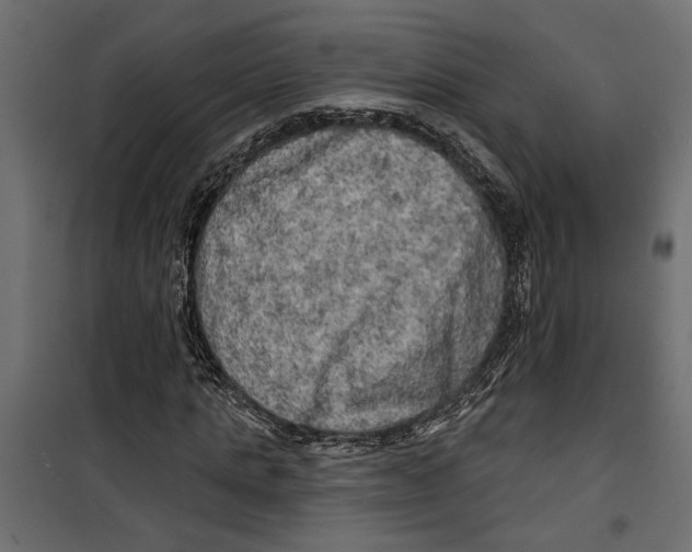 X0000099950821200806201310