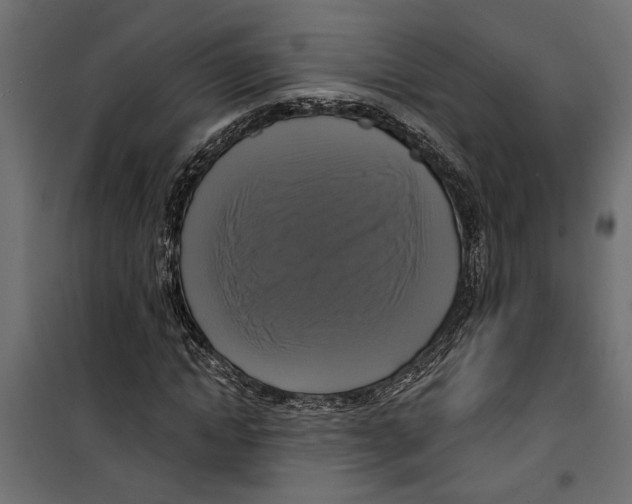 X0000099950822200806201310