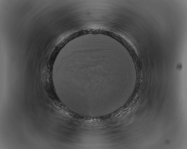 X0000099950823200806201310