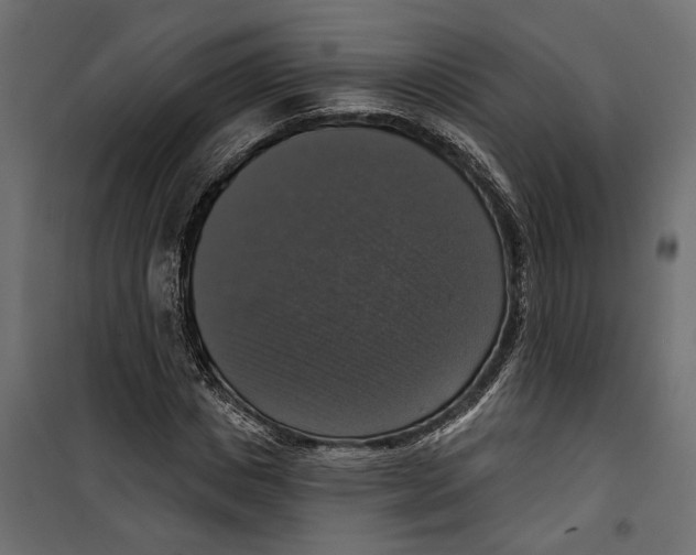X0000099950825200806201310