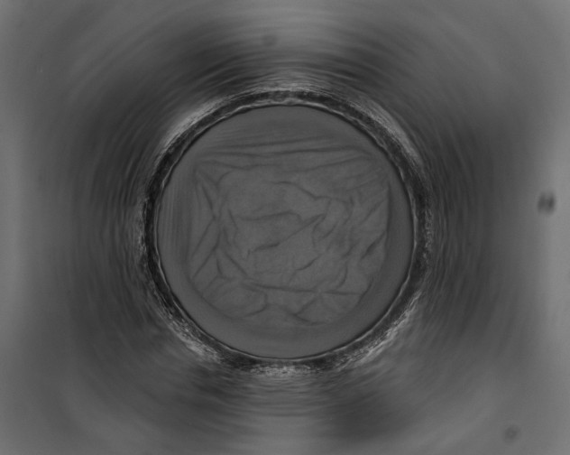 X0000099950826200806201310