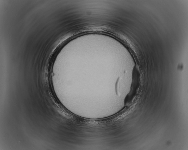 X0000099950827200806201310