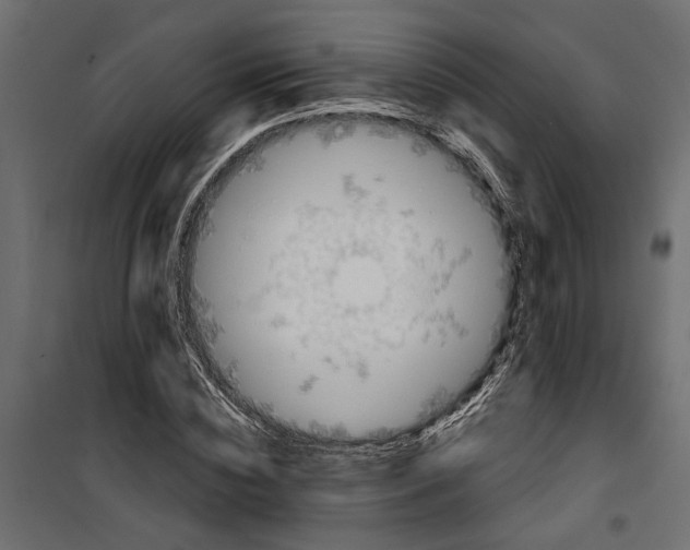 X0000099950828200806201310