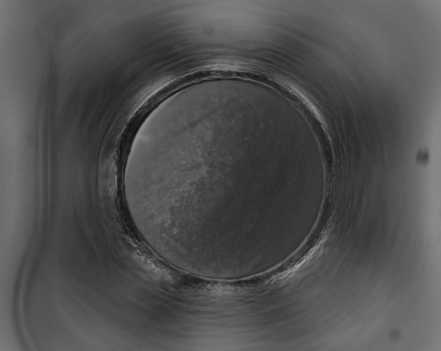 X0000099950829200806201310