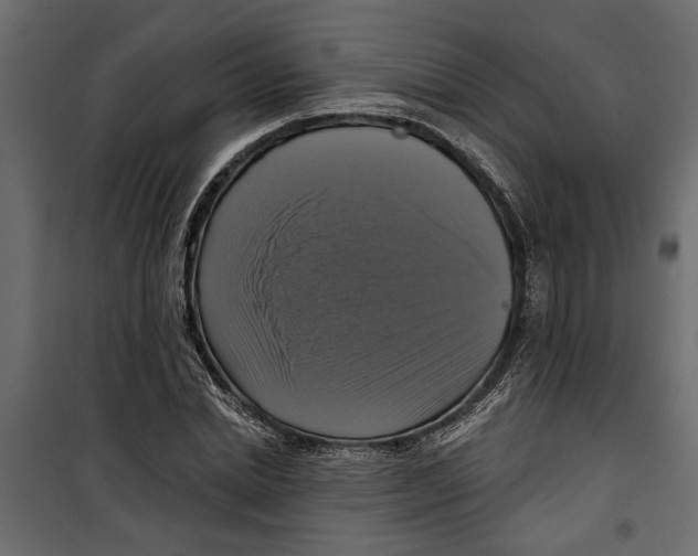 X0000099950830200806201310