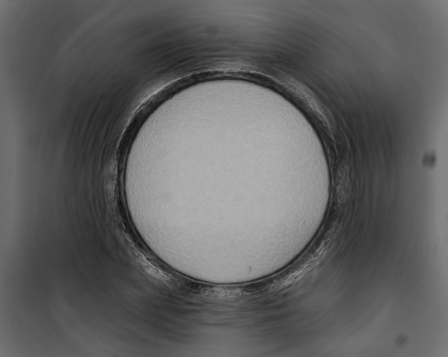 X0000099950831200806201311