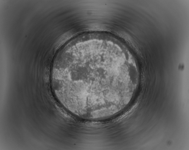 X0000099950833200806201311