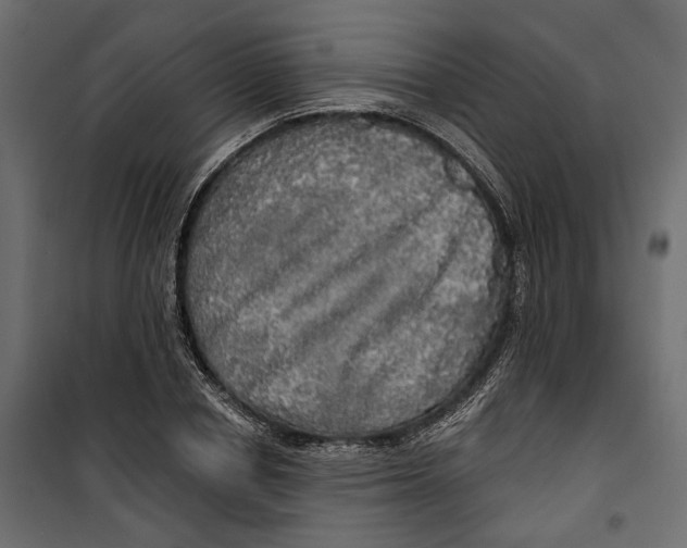 X0000099950834200806201311