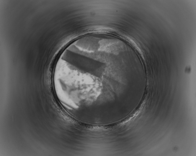 X0000099950835200806201311