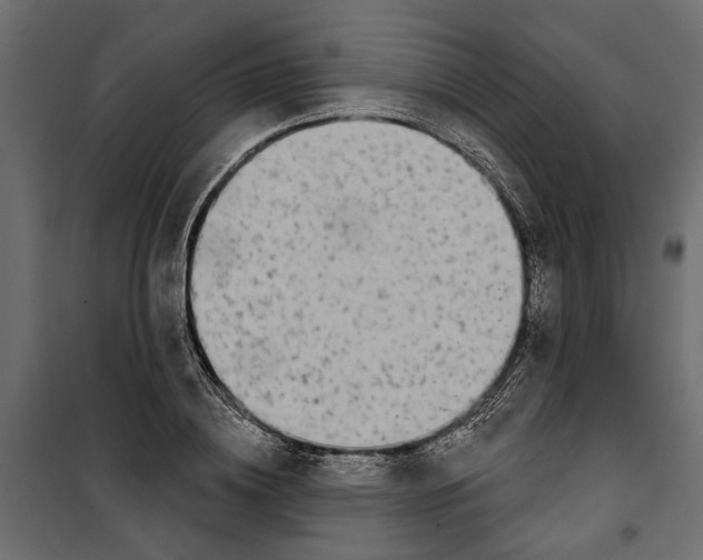 X0000099950836200806201311