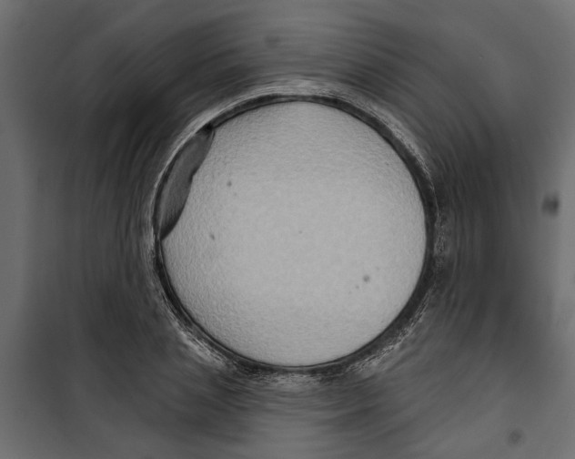 X0000099950837200806201311