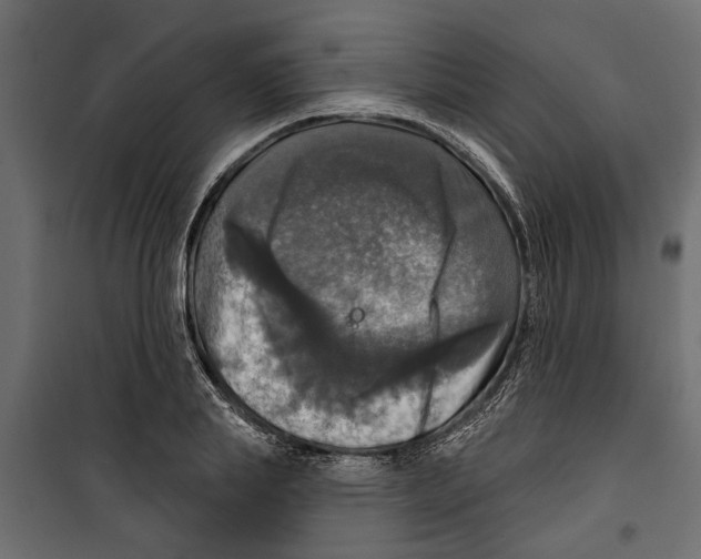 X0000099950839200806201311