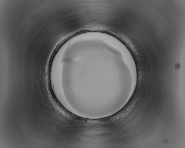 X0000099950840200806201311