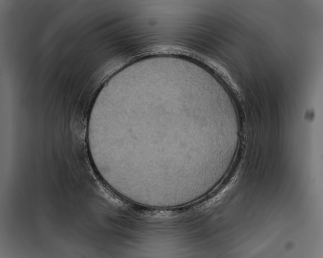 X0000099950841200806201311