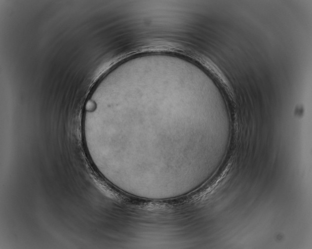 X0000099950842200806201311