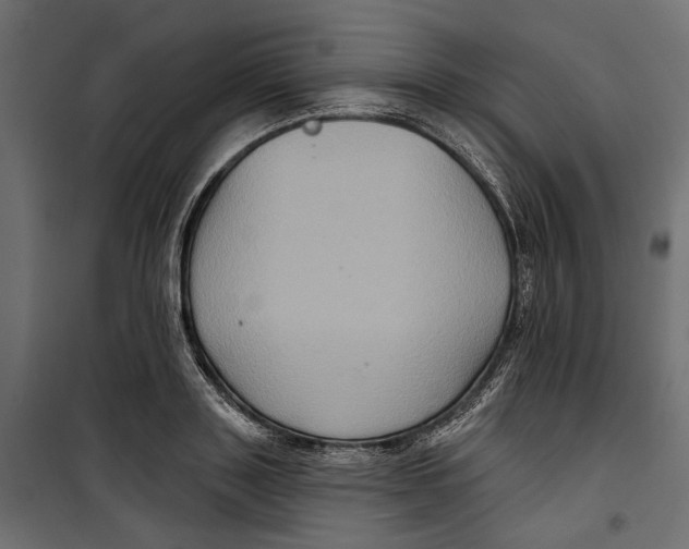 X0000099950843200806201311