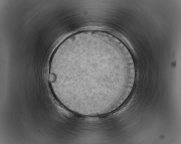 X0000099950844200806201311