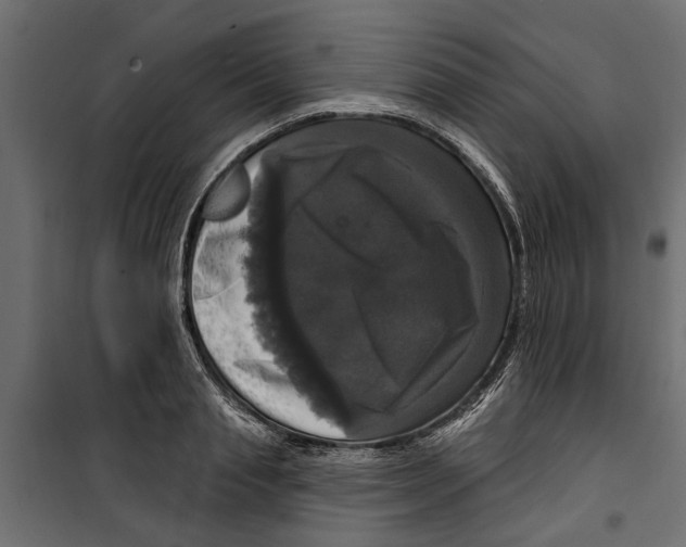 X0000099950845200806201311