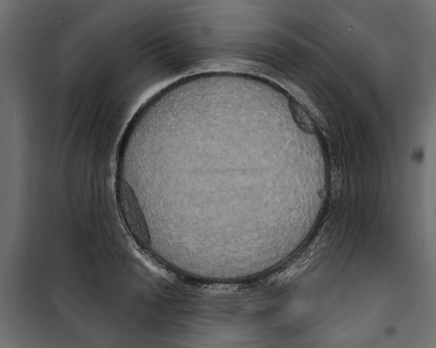 X0000099950846200806201311