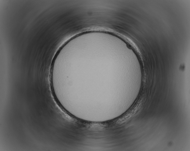X0000099950847200806201311