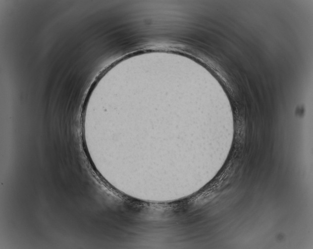 X0000099950848200806201311
